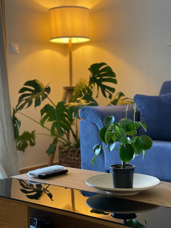Cosy Apartment With Sea View Close To The Beach Nikiana Eksteriør billede